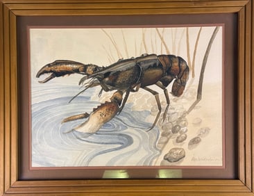 Ron Wickenheiser, Watercolor Painting of a Lobster