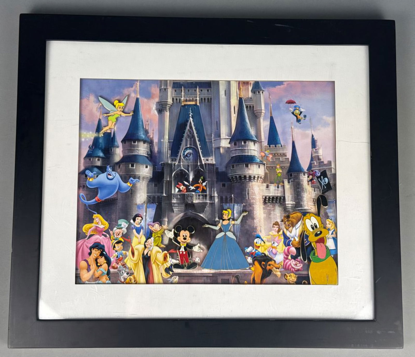 Disney Parks Cinderella Castle Framed Pin Set (1 of 8)