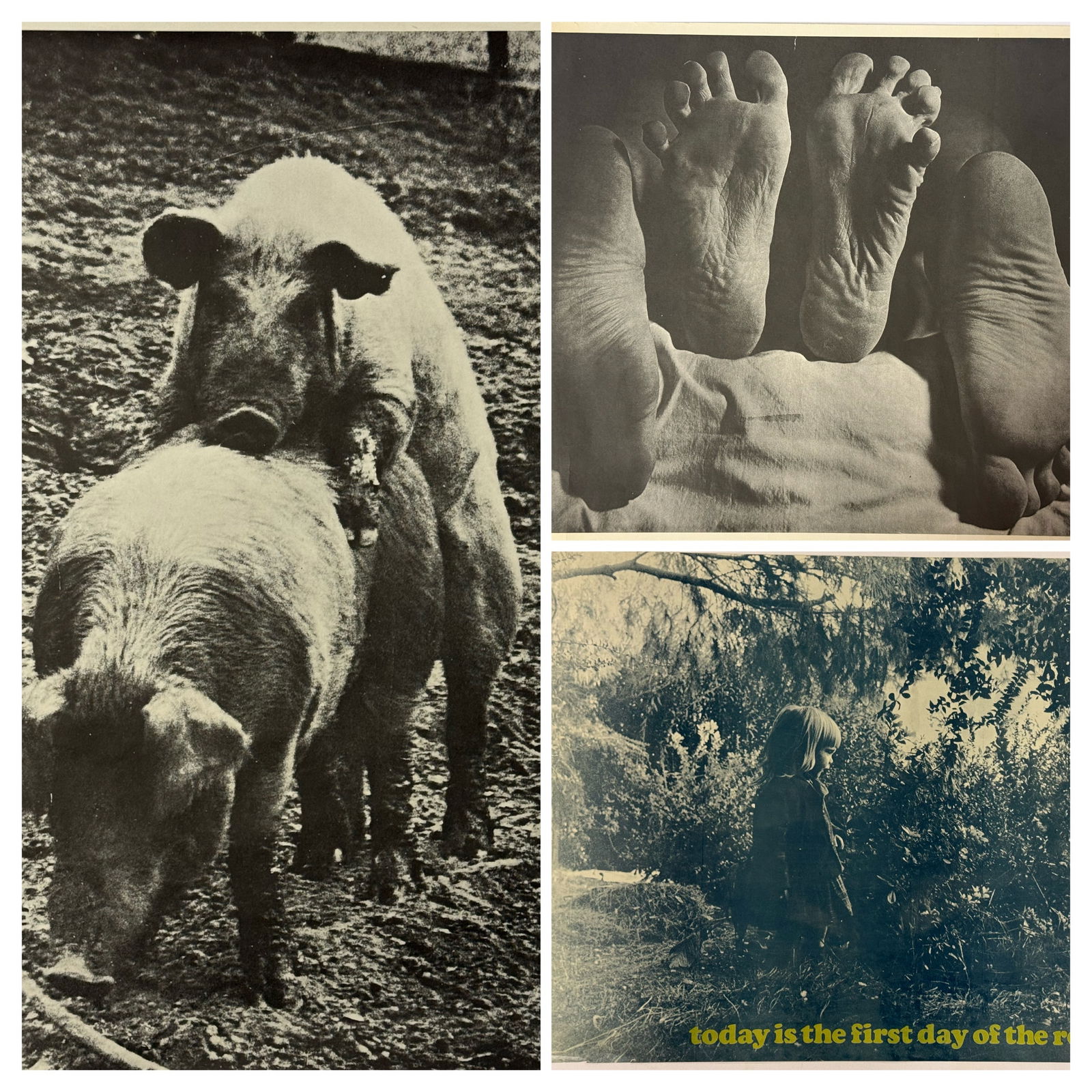 Three Vintage 1960s Large Format Posters Including Makin' Bacon: A trio of vintage large-format paper posters dating from the late 1960s. The collection includes a black and white photographic poster titled Makin' Bacon, copyrighted 1969 and credited to J.C. Buckle