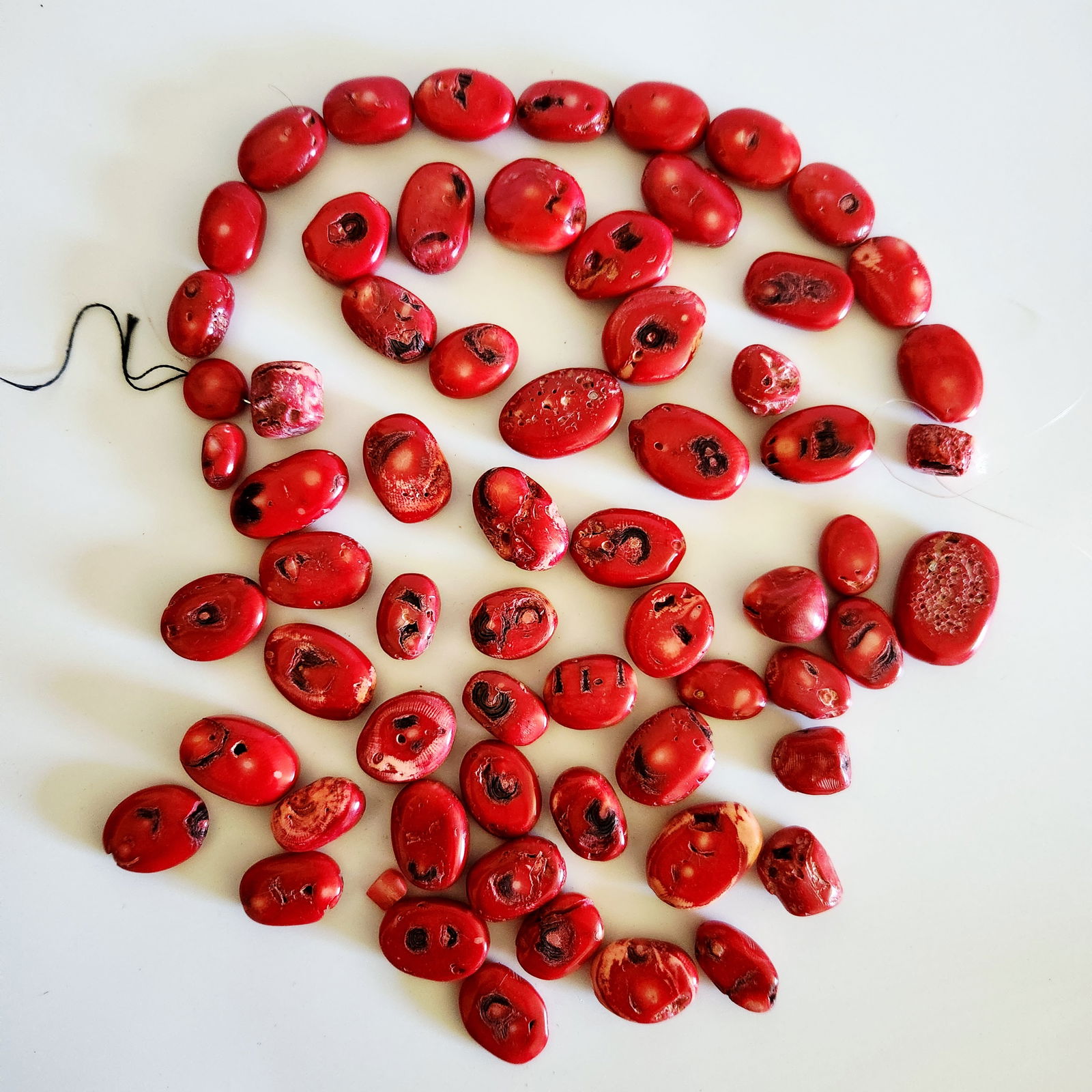 Red Bamboo Coral Beads: A collection of irregular red beads featuring dark inclusions and natural pitting, accompanied by a label marked TESTED, with individual pieces measuring between 0.5 and 1.25 inches.