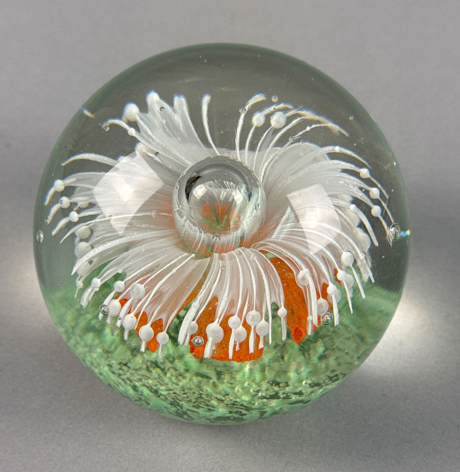 Stephen Crow (Crow Glass), Lampworked Floral Art Glass Paperweight: A fine studio art glass paperweight by Scottish artist Stephen Crow of Crow Glass, Isle of Skye. The piece features an intricate internal lampworked floral arrangement, depicting a central vibrant ora