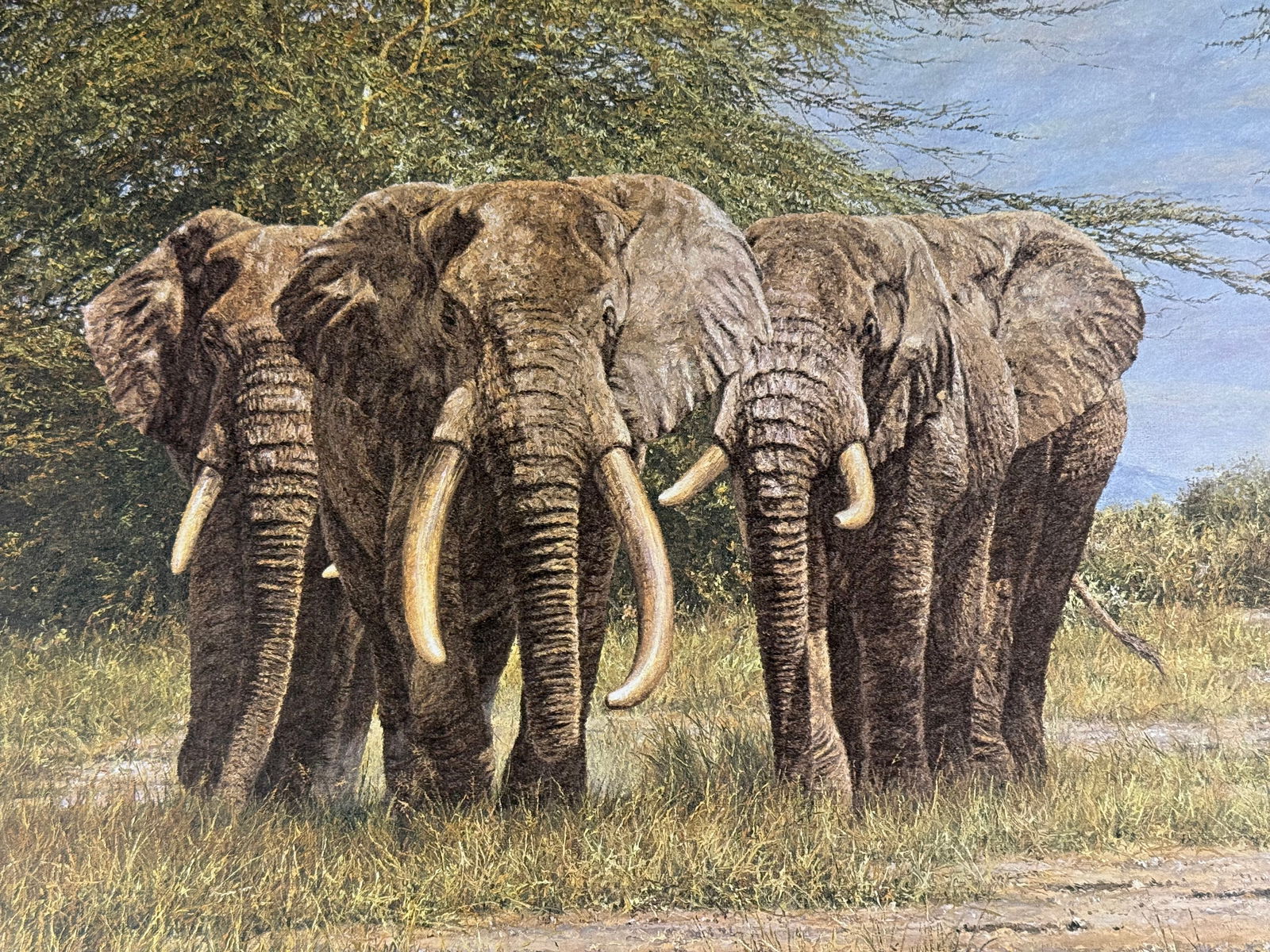 Simon Combes, 'Amboseli Ancients', Photomechanical Print, 819/1000: This limited edition photomechanical print by Simon Combes (British, 1940â€“2004) is titled Amboseli Ancients. The work depicts a trio of African elephants traversing the savanna with the snow