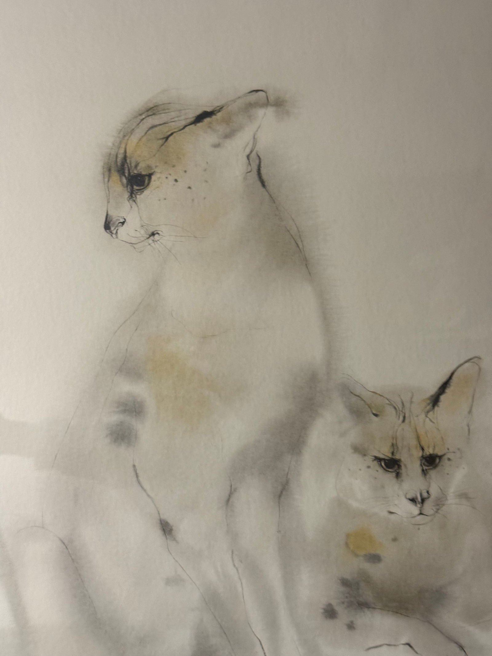 Meyer Garlen Signed Siamese Cats Artwork - 2