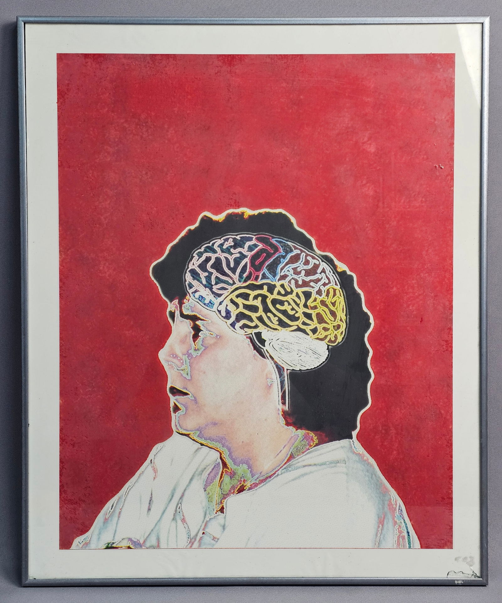 Framed Pop Art Style Print Poster: A framed contemporary print featuring a profile portrait of a figure set against a textured red background with a stylized, multi-colored anatomical representation of a brain overlaid on the head. The