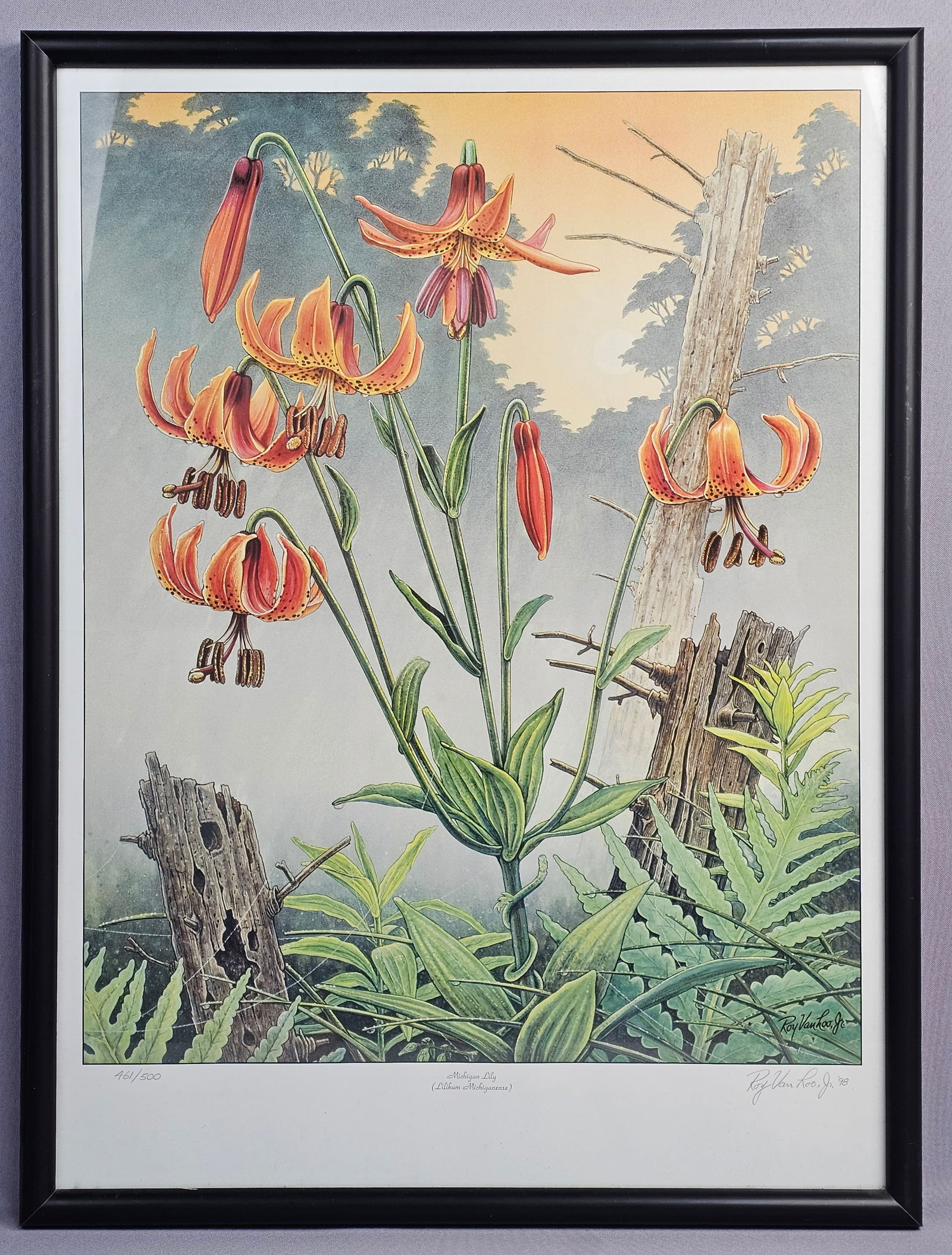 Roy Van Loo, Jr., 'Michigan Lily (Lilium michiganense)', Digital Print, 461/500 (1 of 7)