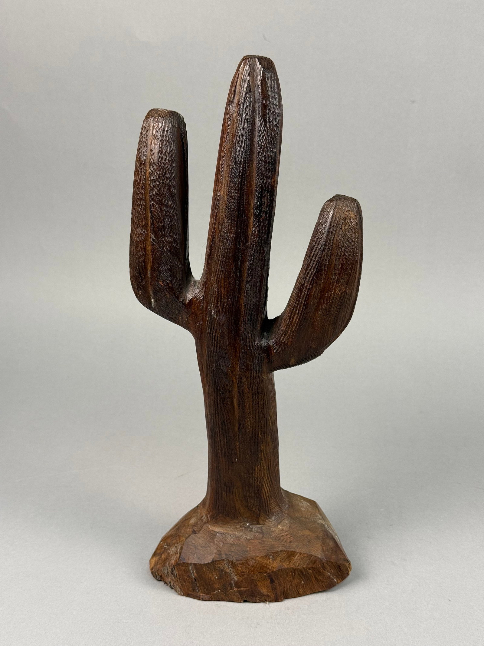 Hand-Carved Ironwood Saguaro Cactus Sculpture (1 of 5)