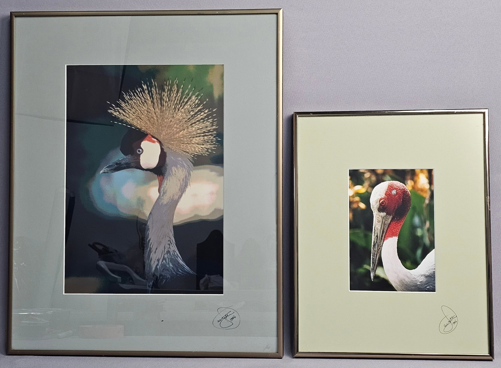James E. Ayotte, A Pair of Chromogenic Prints, African Avian Subjects, 1986: This pair of color photographic prints, identified as chromogenic prints, features avian subjects photographed in Kenya, Africa. The larger print depicts a Crested Crowned Crane, titled Habari on the