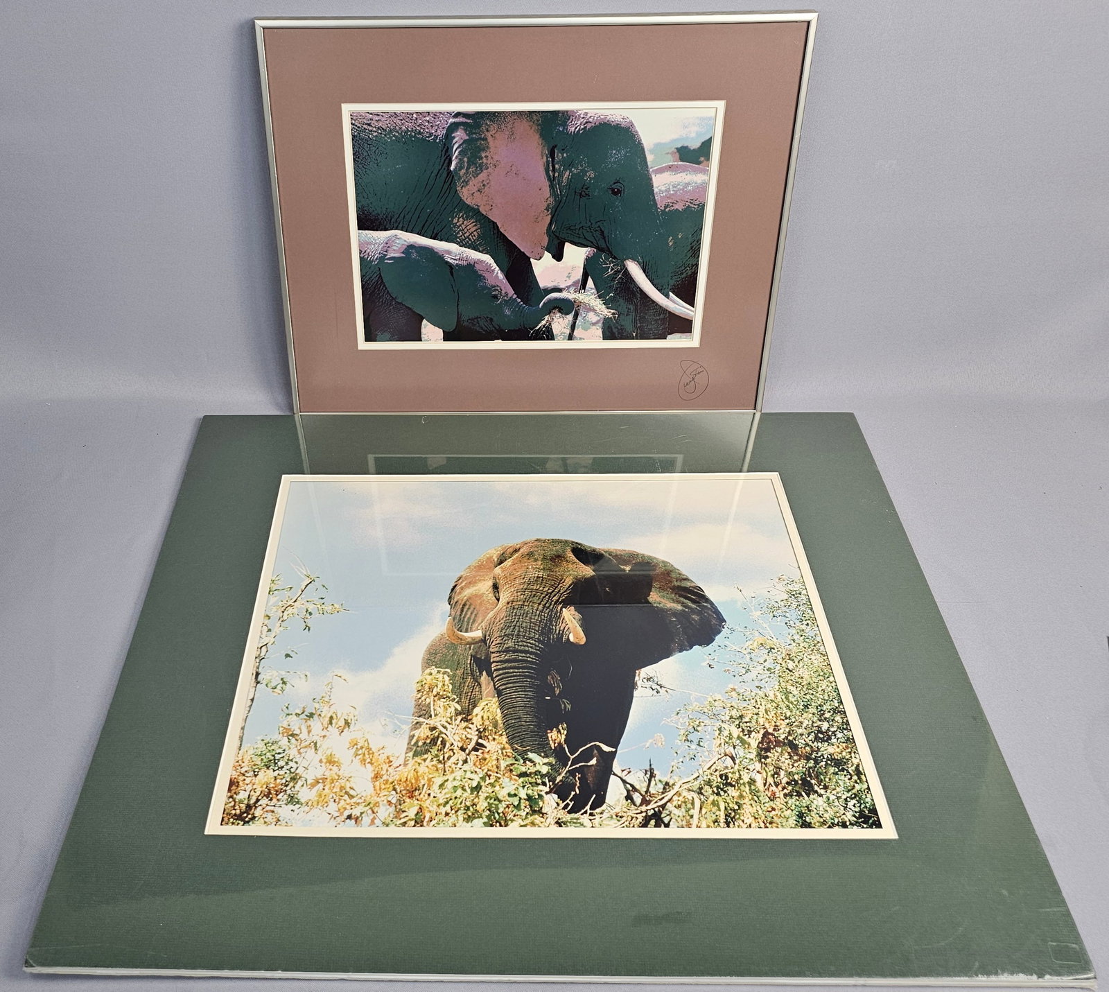 Two James E. Ayotte African Elephant Color Photograph Prints (1 of 11)