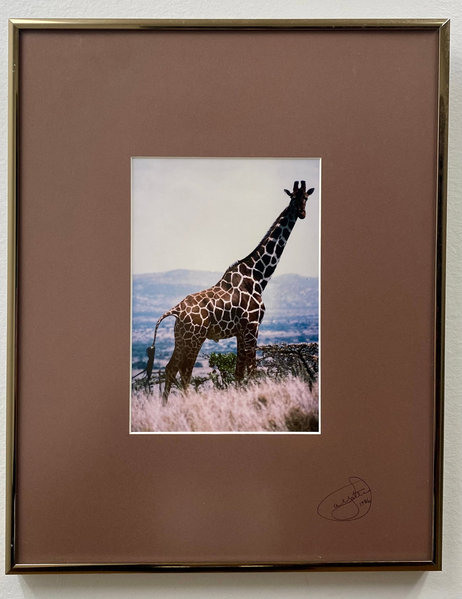 James E. Ayotte, Twiga, Chromogenic Print, 1986 (1 of 9)