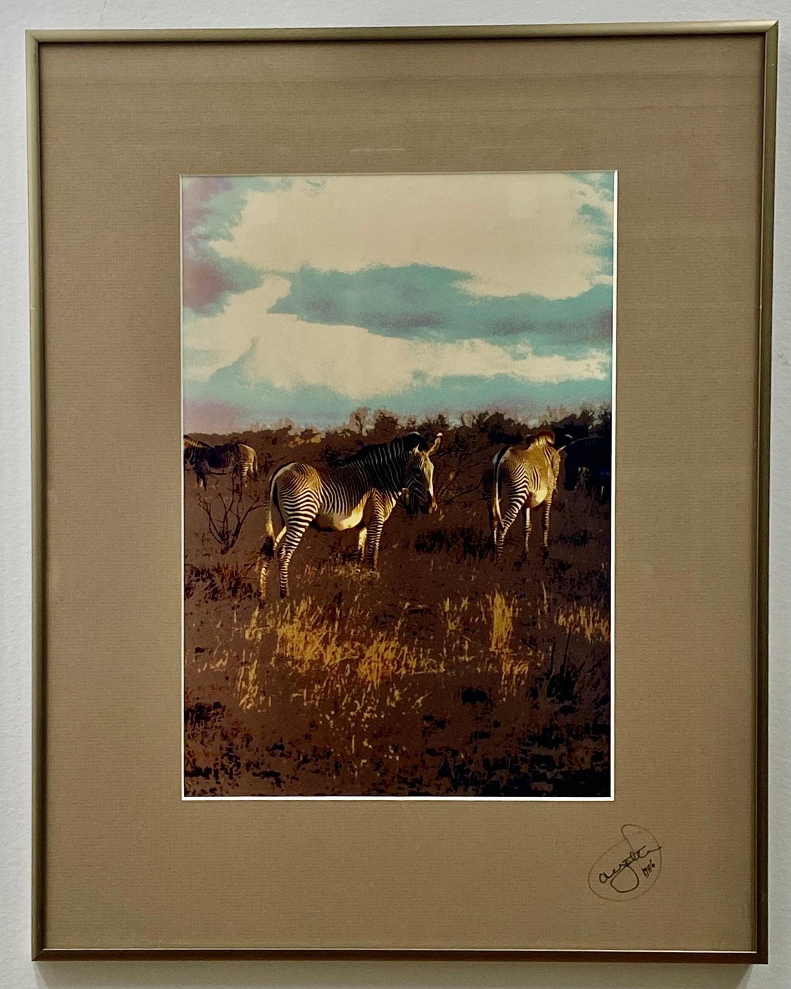 James E. Ayotte, Striped Grazers, Chromogenic Print, 1986: This color photograph, a chromogenic print produced in 1986, is titled Striped Grazers and depicts a herd of zebras within a savanna landscape in Amboseli National Park, Kenya. The work is signed and 