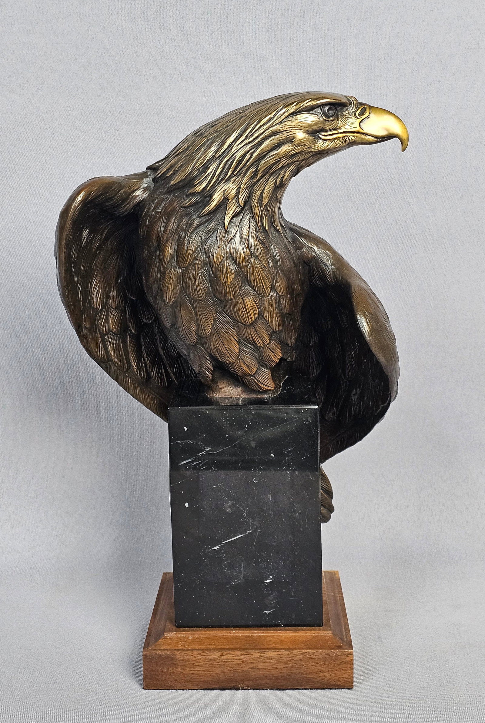 Dr. Robert Taylor Bronze Eagle Sculpture Vigilance: Titled Vigilance, this contemporary bronze sculpture depicts the head and upper body of a bald eagle. The work is attributed to Dr. Robert Taylor, a former veterinarian turned wildlife sculptor, as id