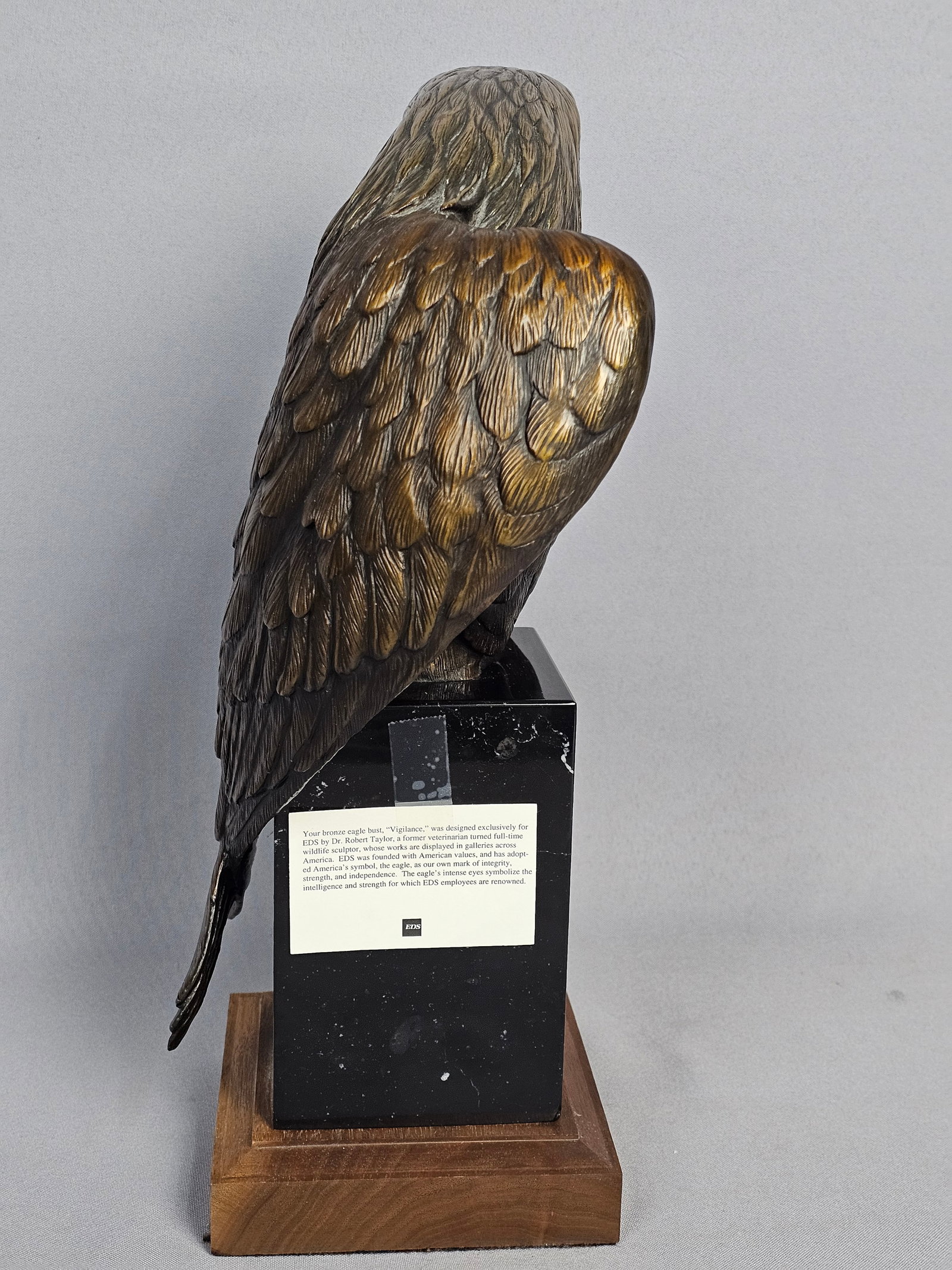 Dr. Robert Taylor Bronze Eagle Sculpture Vigilance - 4