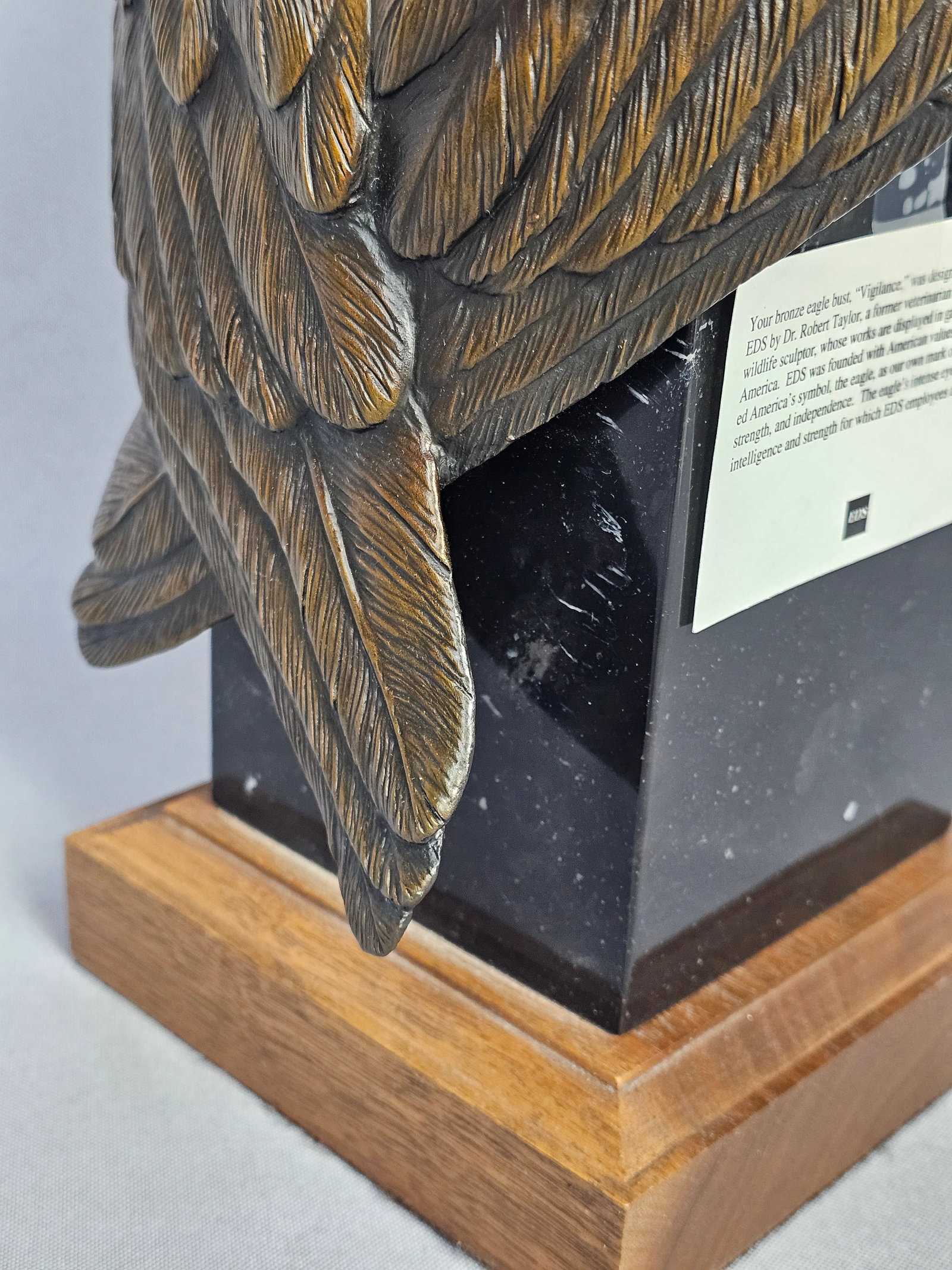 Dr. Robert Taylor Bronze Eagle Sculpture Vigilance - 6