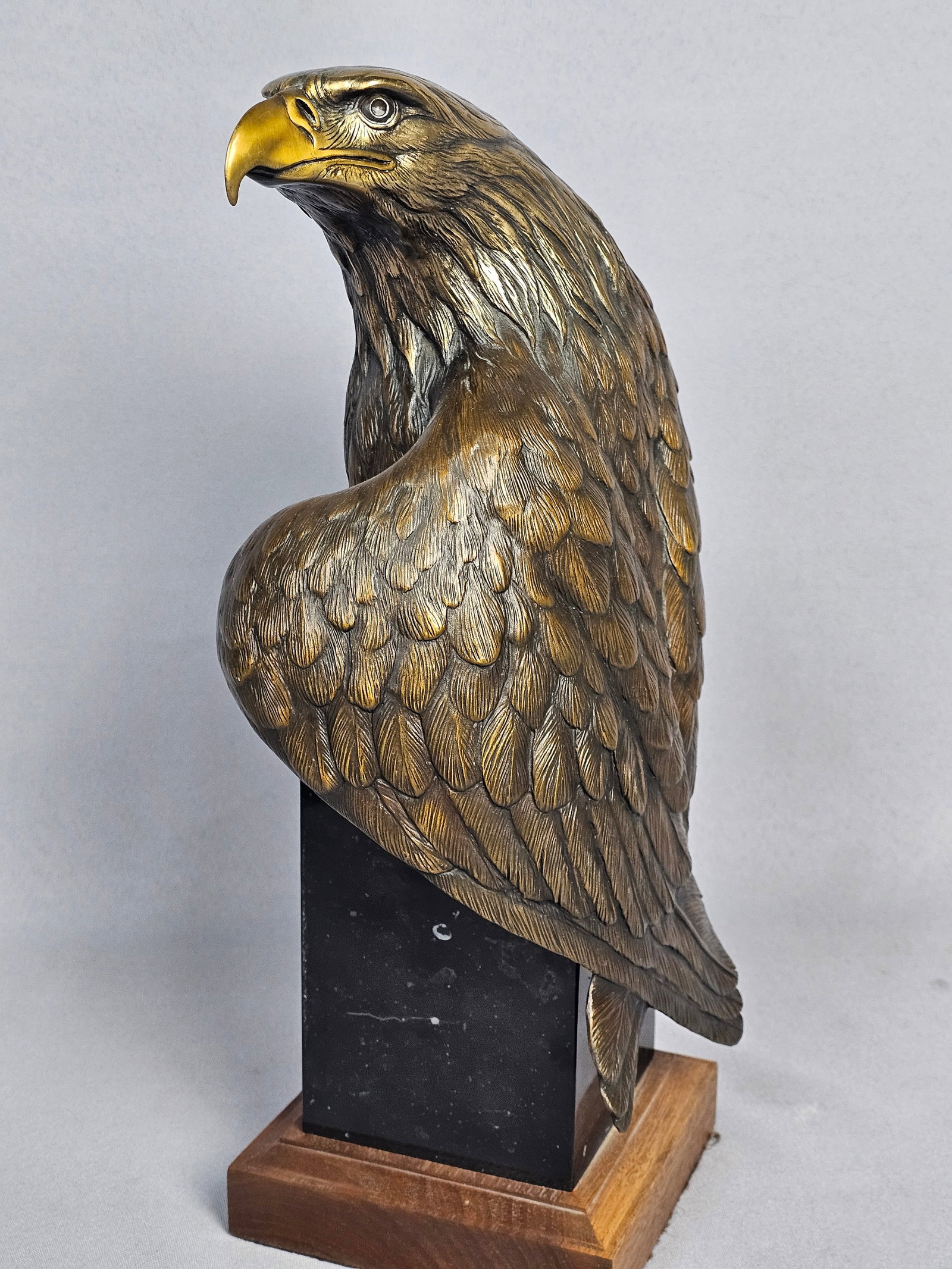 Dr. Robert Taylor Bronze Eagle Sculpture Vigilance - 7