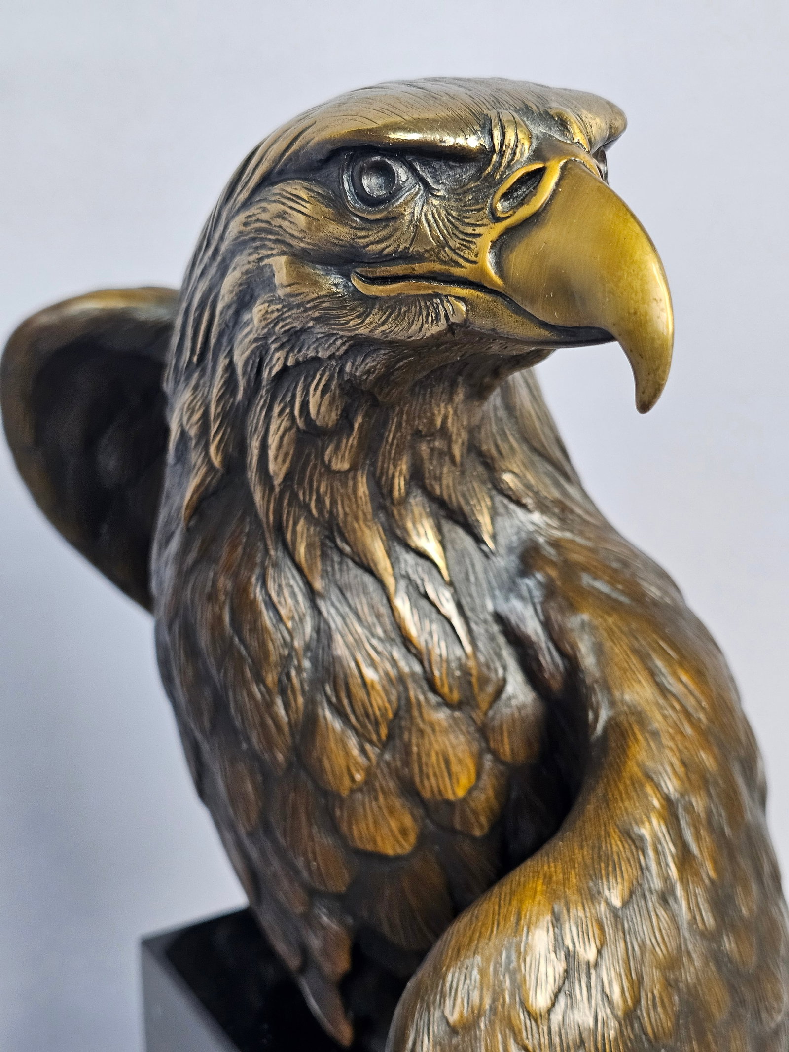Dr. Robert Taylor Bronze Eagle Sculpture Vigilance - 9