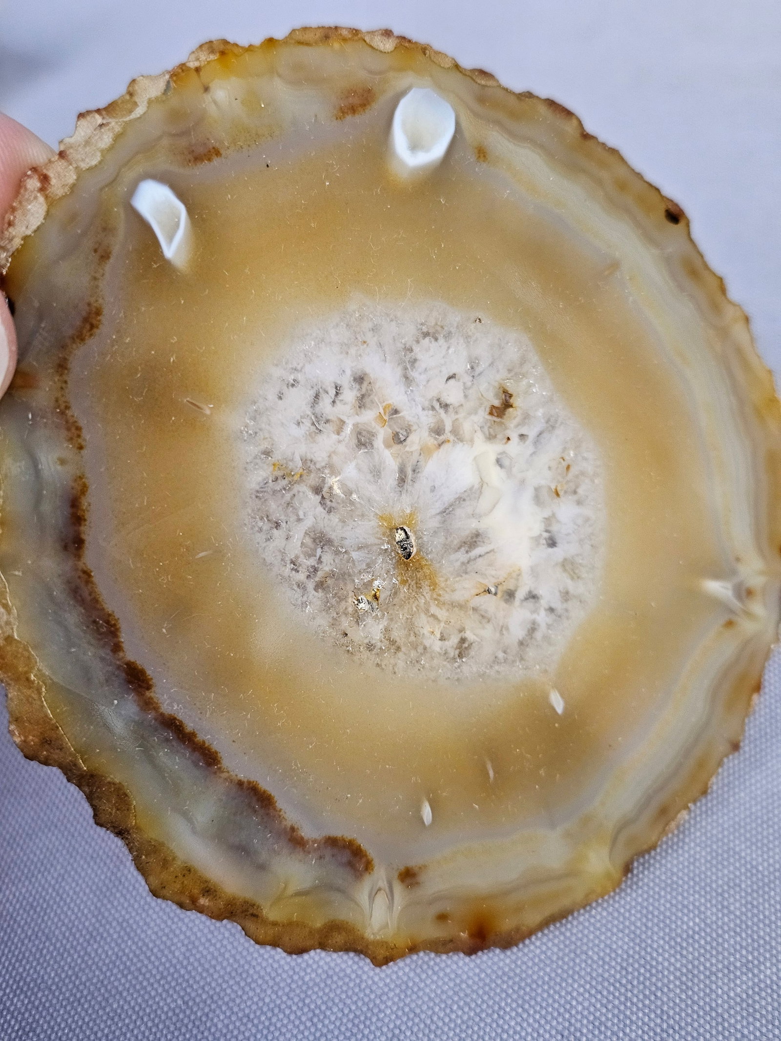 Polished Natural Agate Specimen Slices - 3