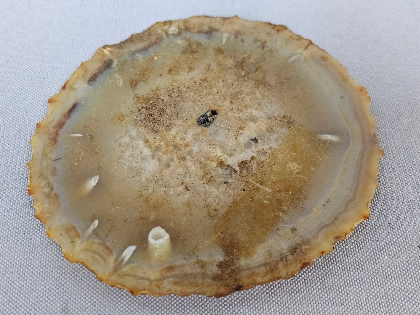 Polished Natural Agate Specimen Slices - 4