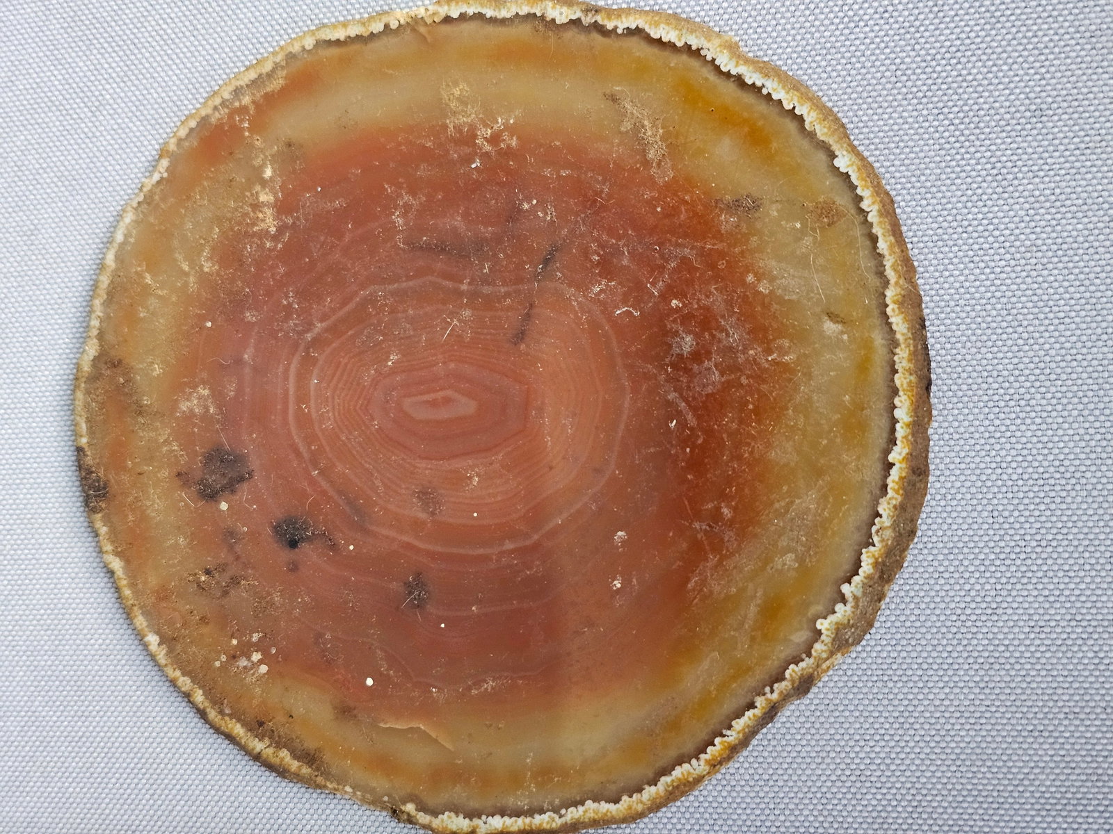 Polished Natural Agate Specimen Slices - 8