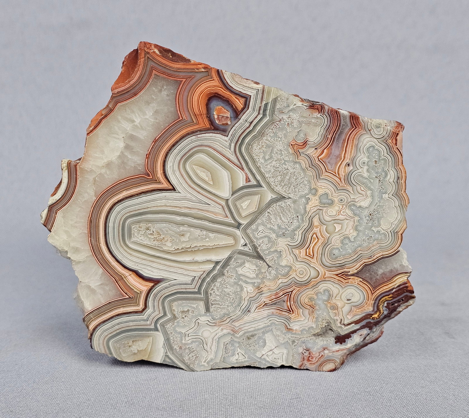 Polished Mexican Crazy Lace Agate Slab (1 of 6)
