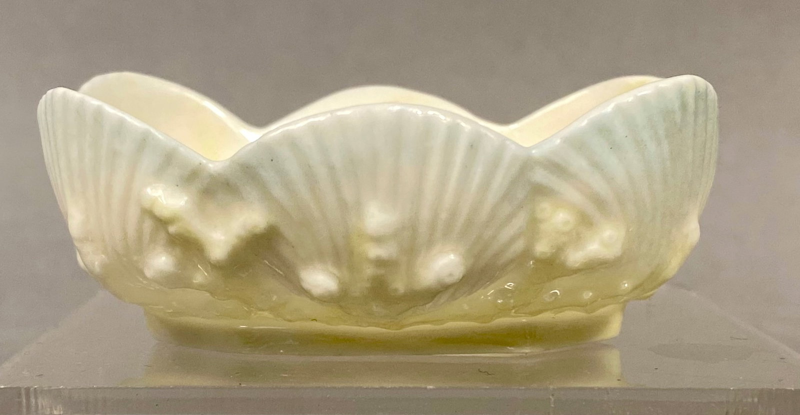 W.H. Goss Belleek-Style Porcelain Shell Dish: A small porcelain shell dish, potentially used as a nut dish or open salt, featuring a tri-lobed scalloped rim. The exterior is decorated in high-molded relief with various seashells and coral-like te