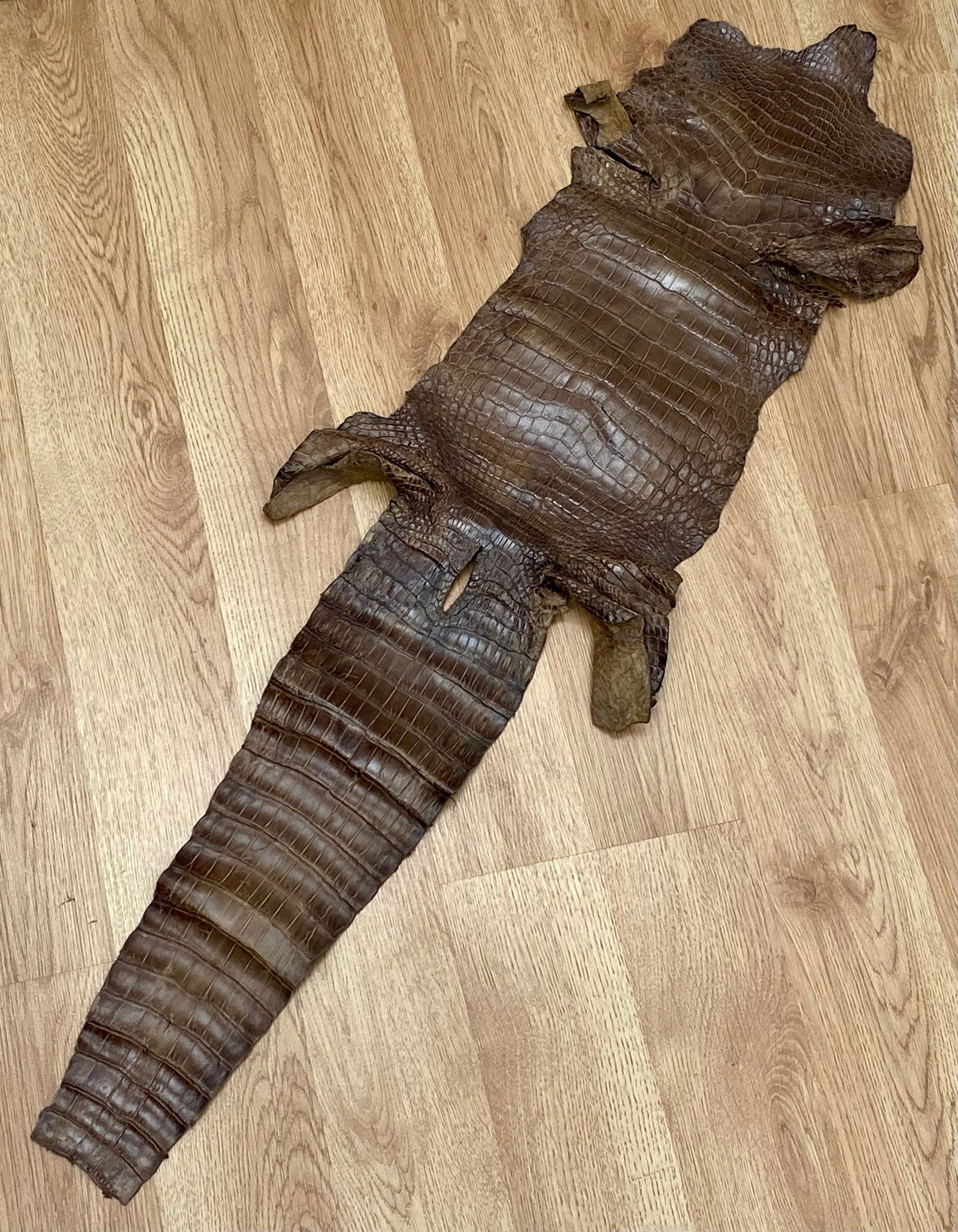 A Tanned Crocodile or Alligator Leather Hide (1 of 7)