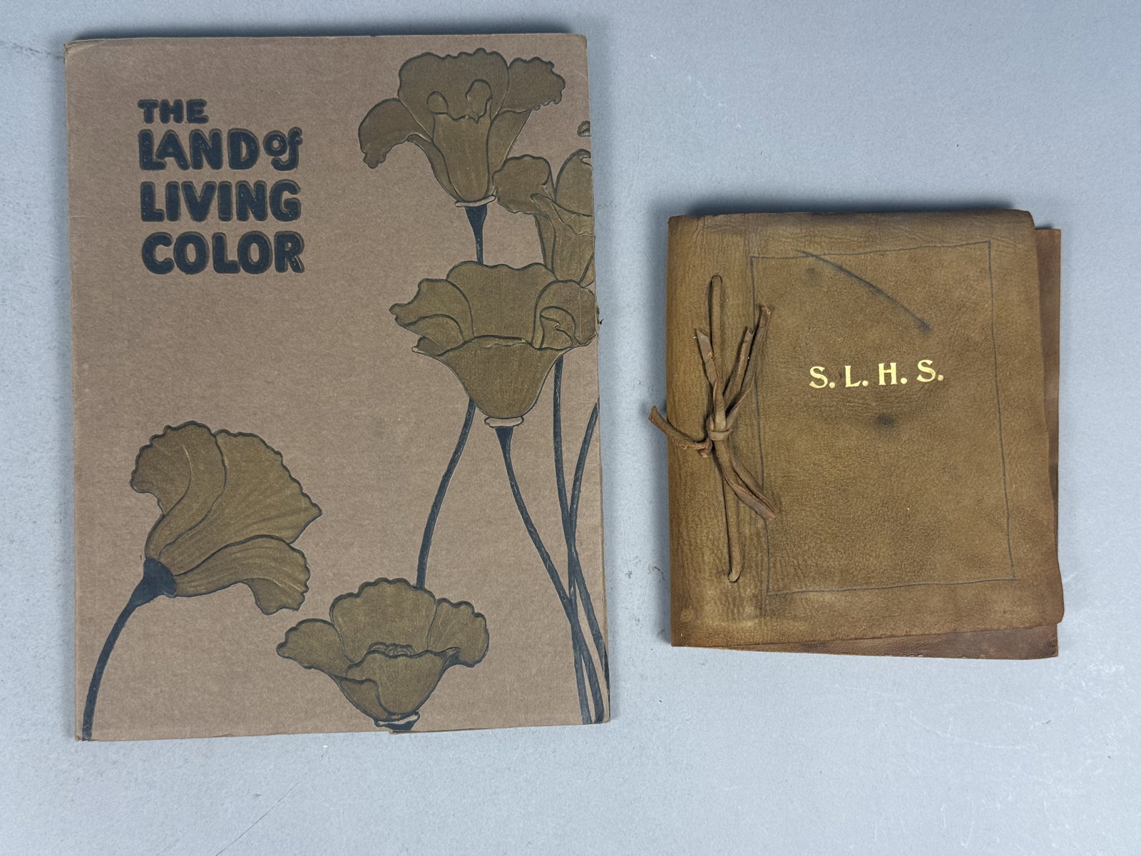 The Land of Living Color 1915 w Antique Photos: This lot features two early 20th-century items: a large-format pictorial book and a student photo album. The primary volume is titled The Land of Living Color: A Pictorial Journey From The Storied
