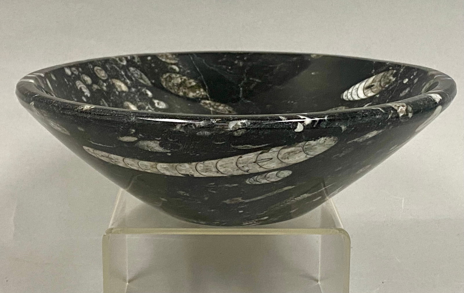 Vintage 8' Orthoceras Fossil Stone Bowl: Polished Fossil Bowl, hand-carved from black fossil-bearing stone and featuring numerous embedded prehistoric cephalopod fossils dating back 400 million years. The striking contrast between the dark p