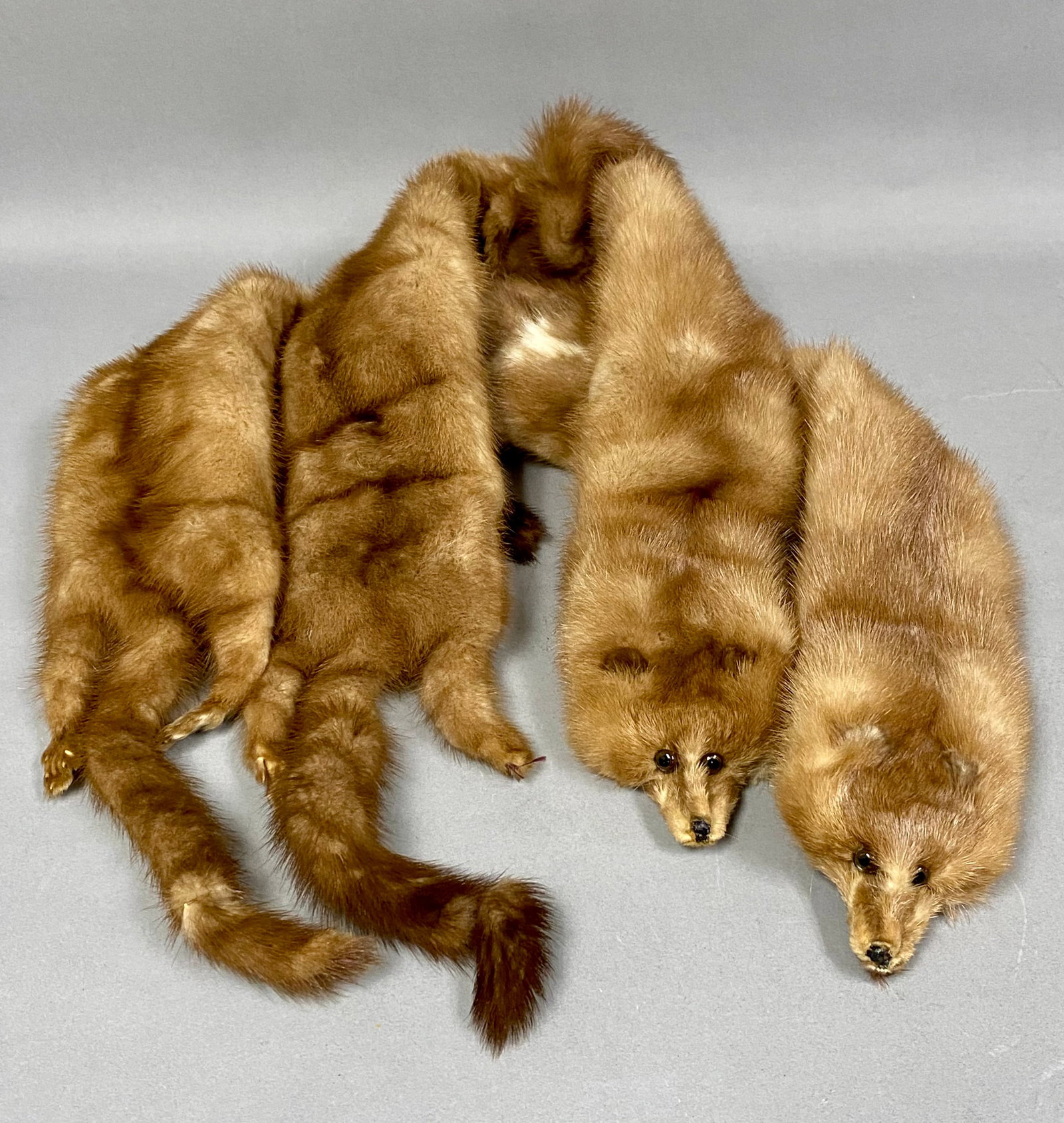 Nigbor Furs Four-Skin Mink Stole: This mid-century four-skin mink fur stole is composed of four full-body pelts joined in pairs, featuring taxidermy-style heads with dark glass eyes, paws with claws, and bushy tails. The warm brown