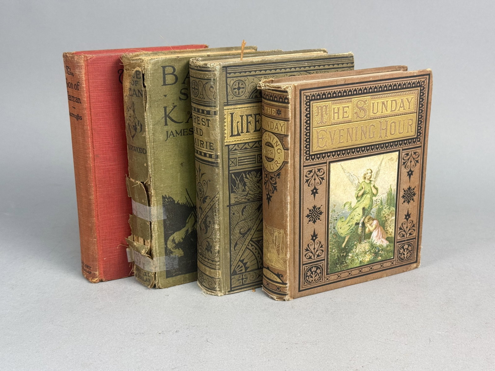 A Collection of Vintage Hardcover Books: This collection includes four vintage hardcover volumes of adventure and juvenile fiction published between 1860 and 1917. The grouping features works by Edgar Rice Burroughs and James Oliver Curwood 