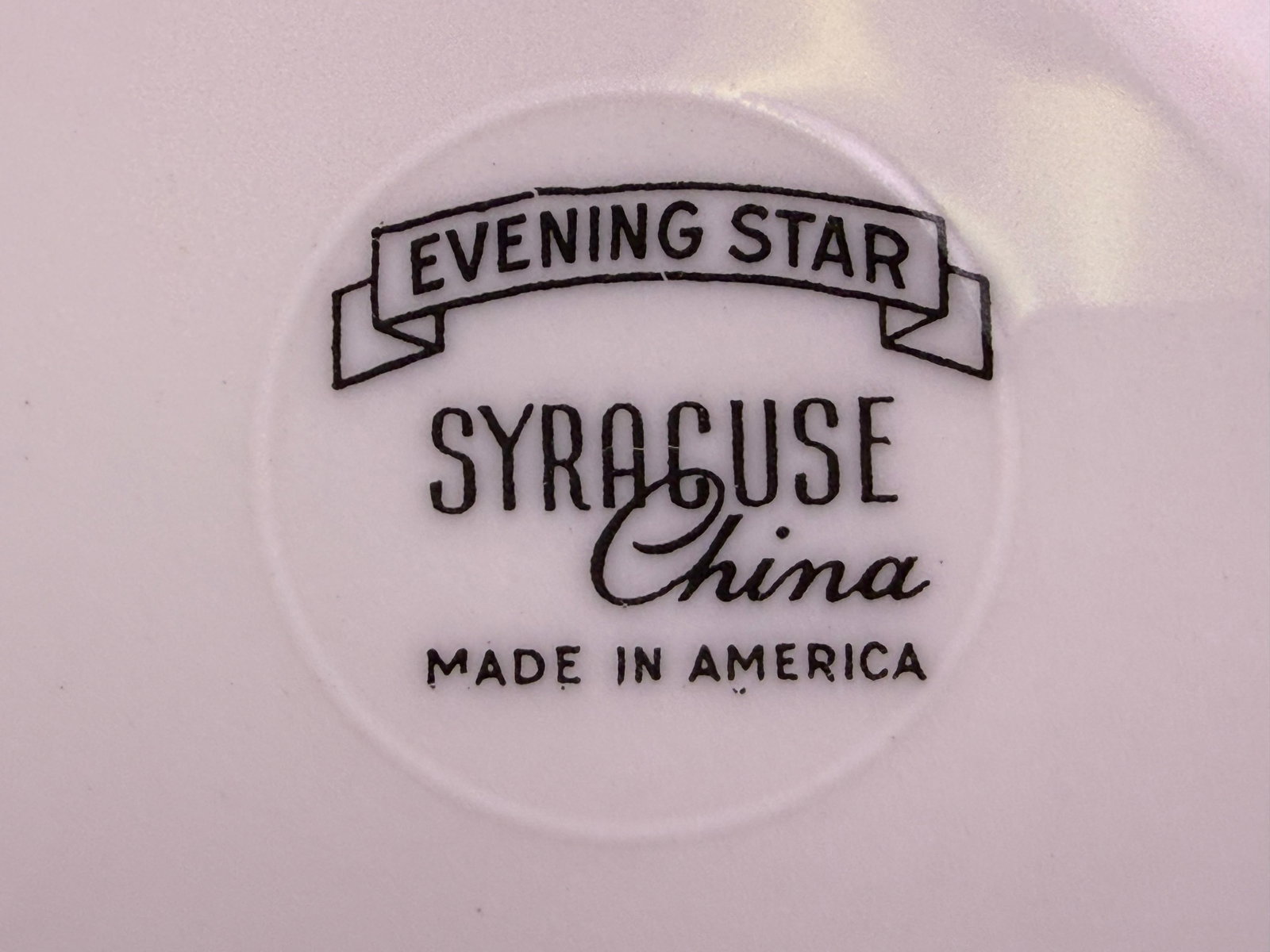 32pc Syracuse Evening Star China Dinnerware Set - 11