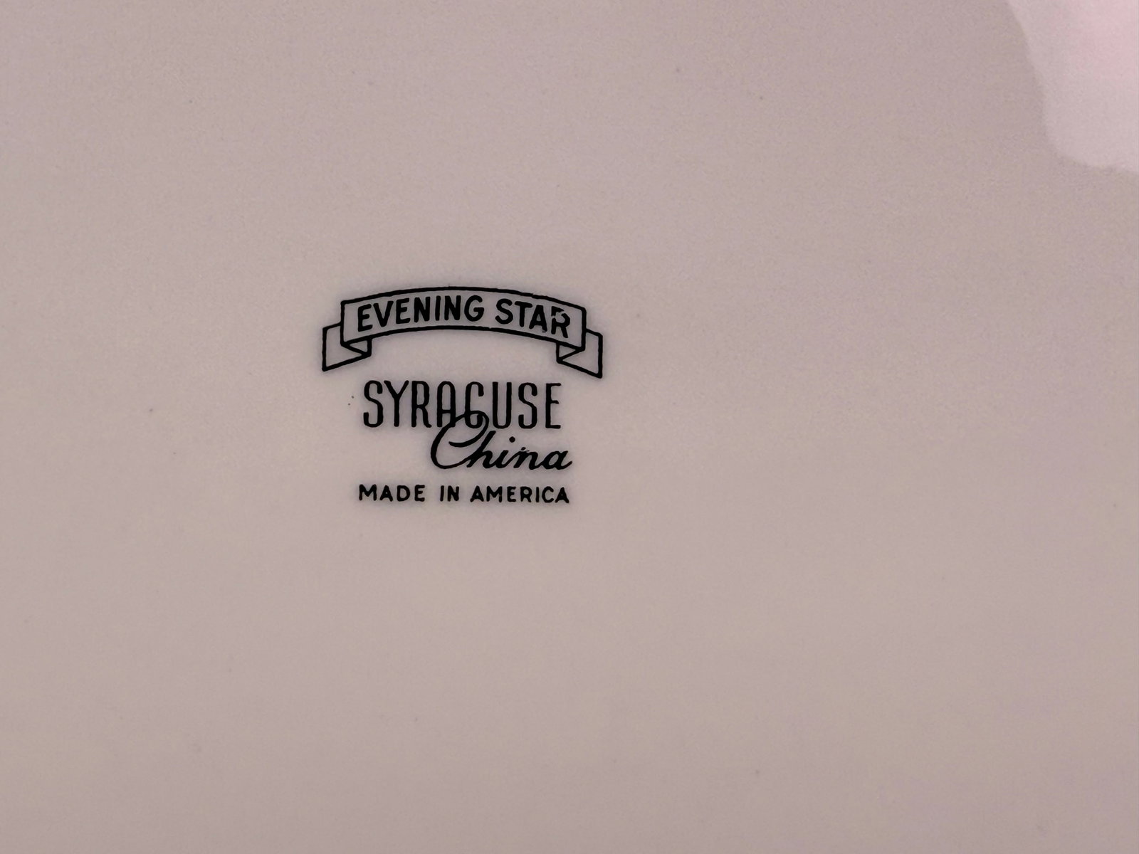 Syracuse Evening Star Porcelain Serving Set - 9