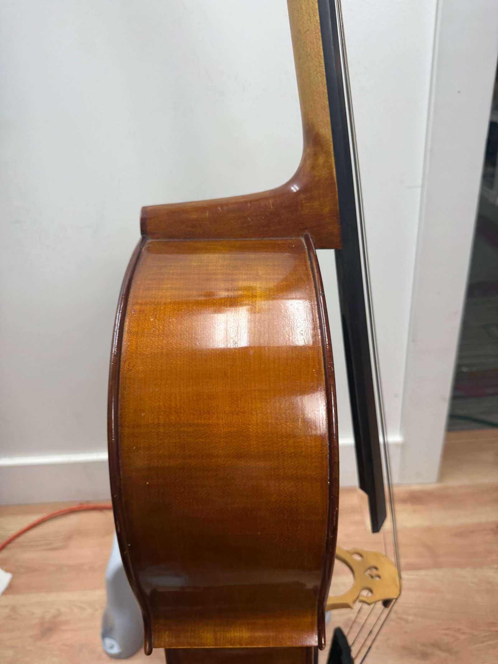 Alberto Morales Cello - 11