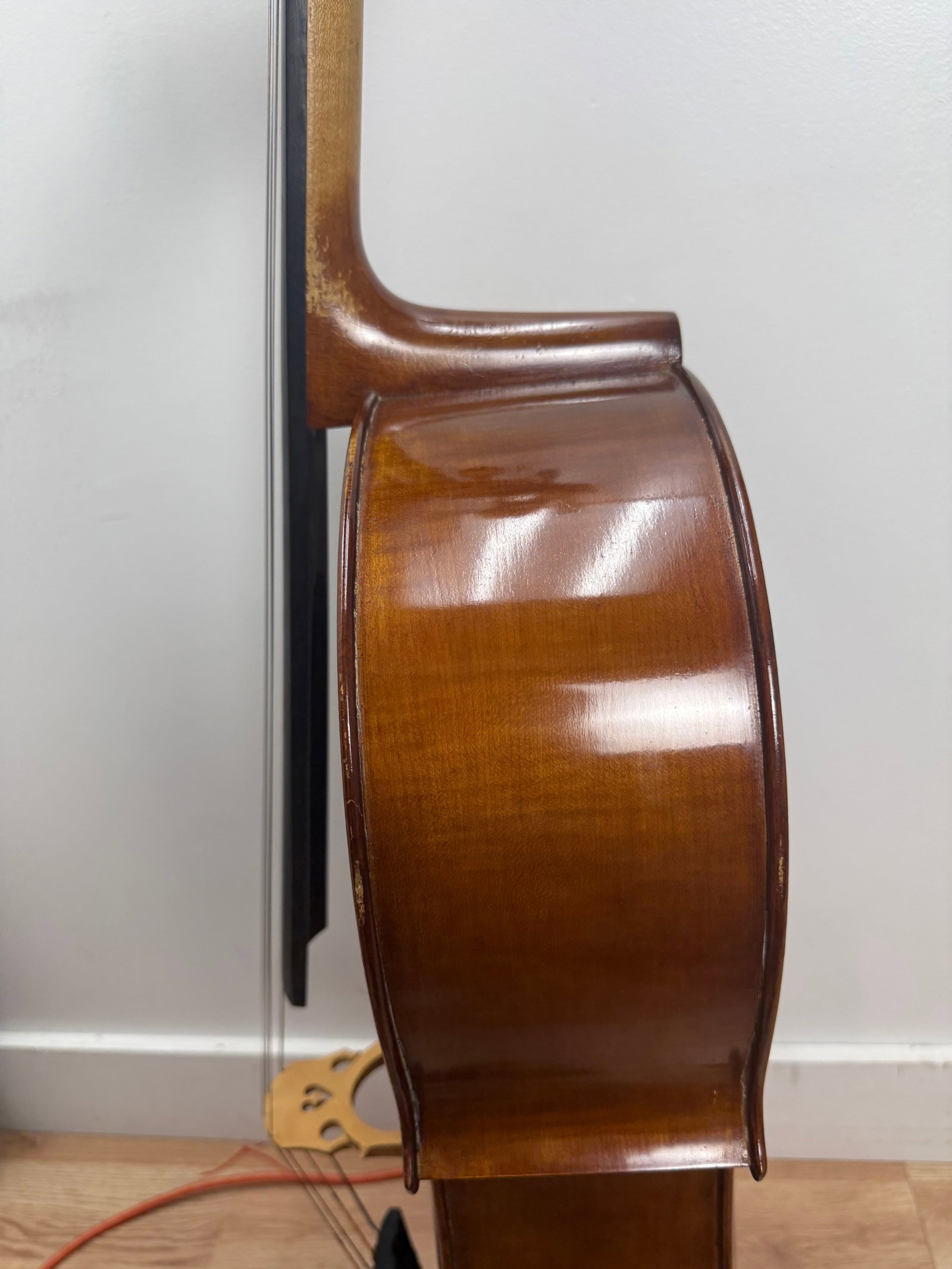 Alberto Morales Cello - 12