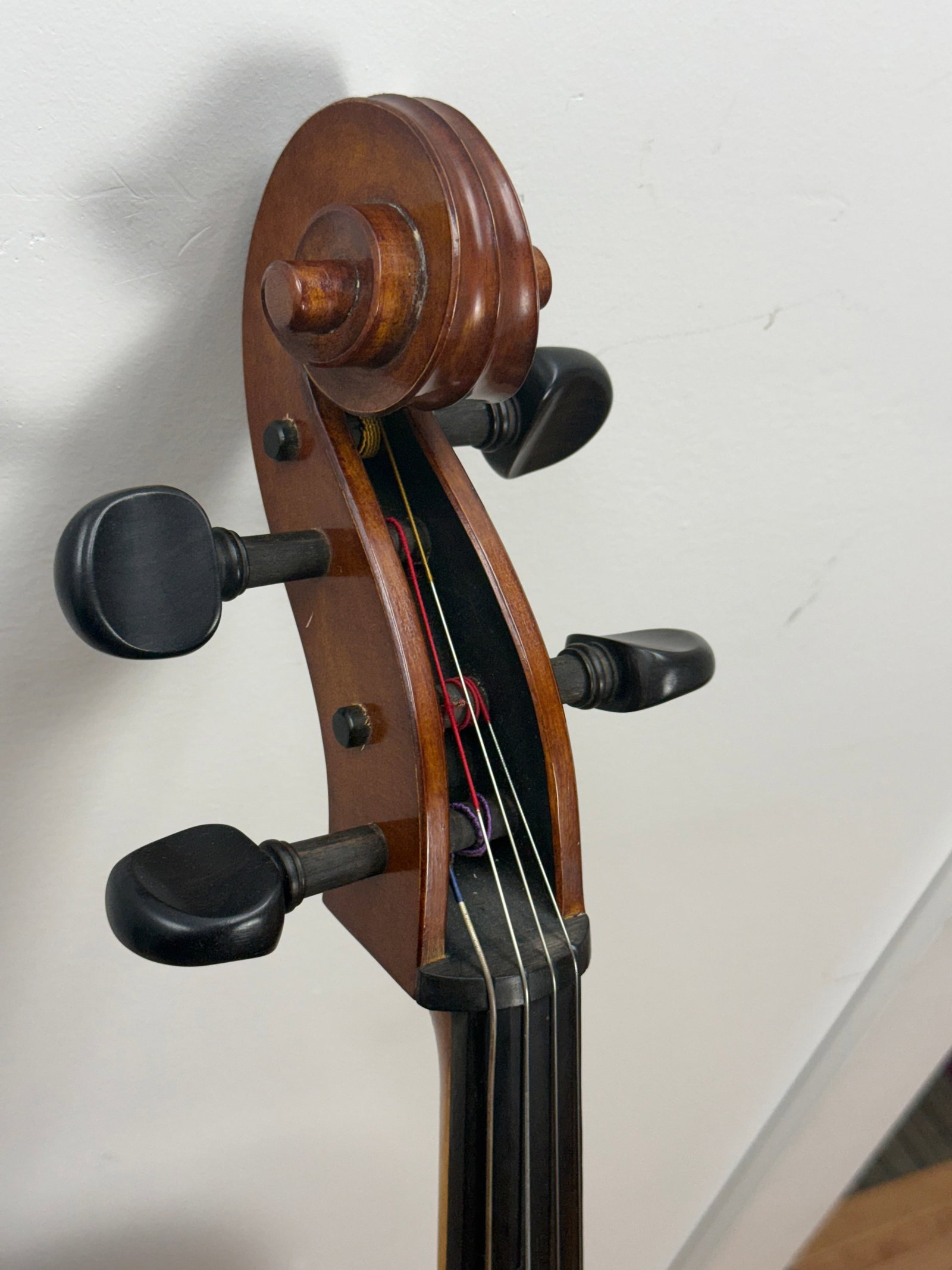 Alberto Morales Cello - 2