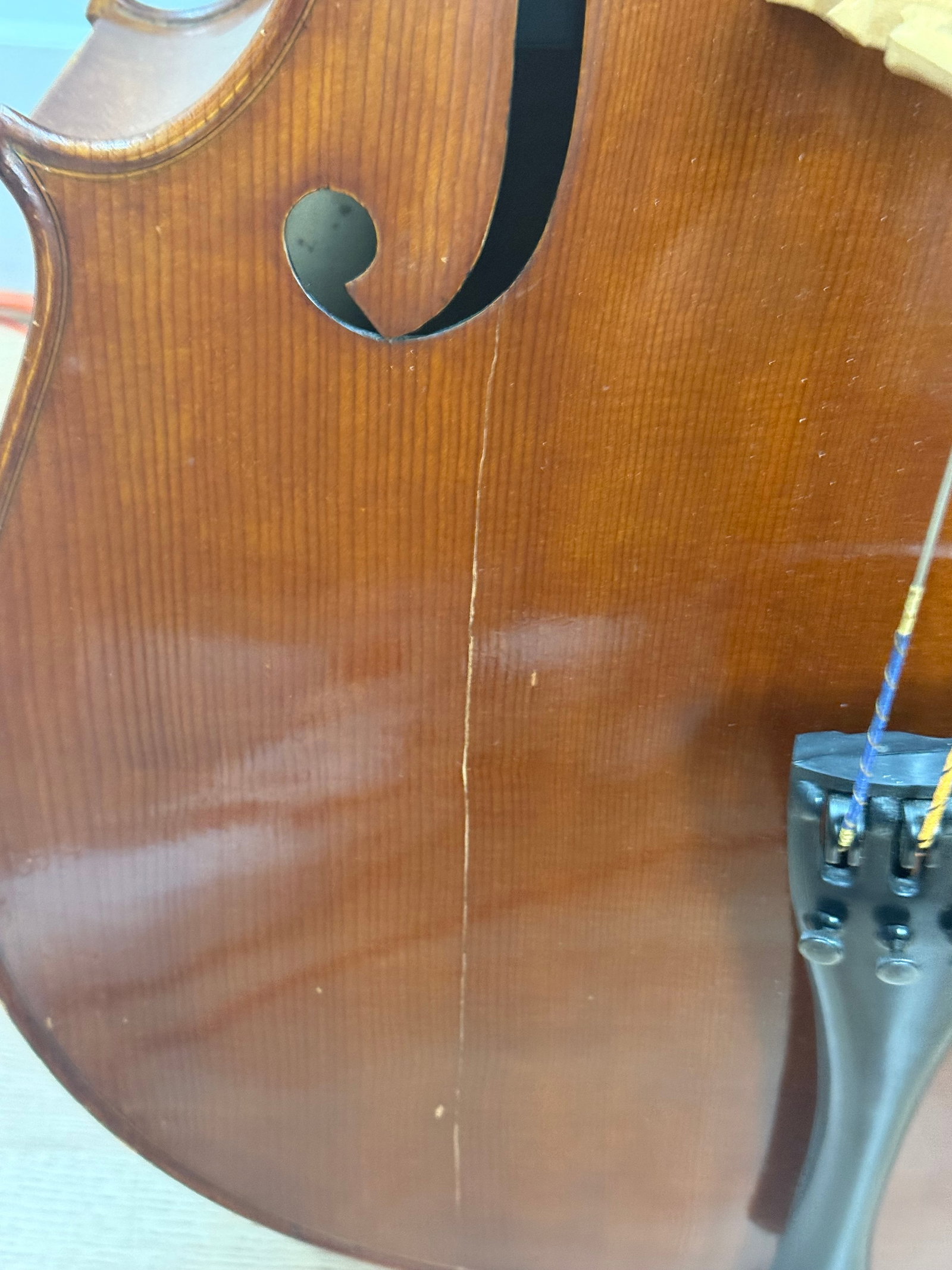 Alberto Morales Cello - 5