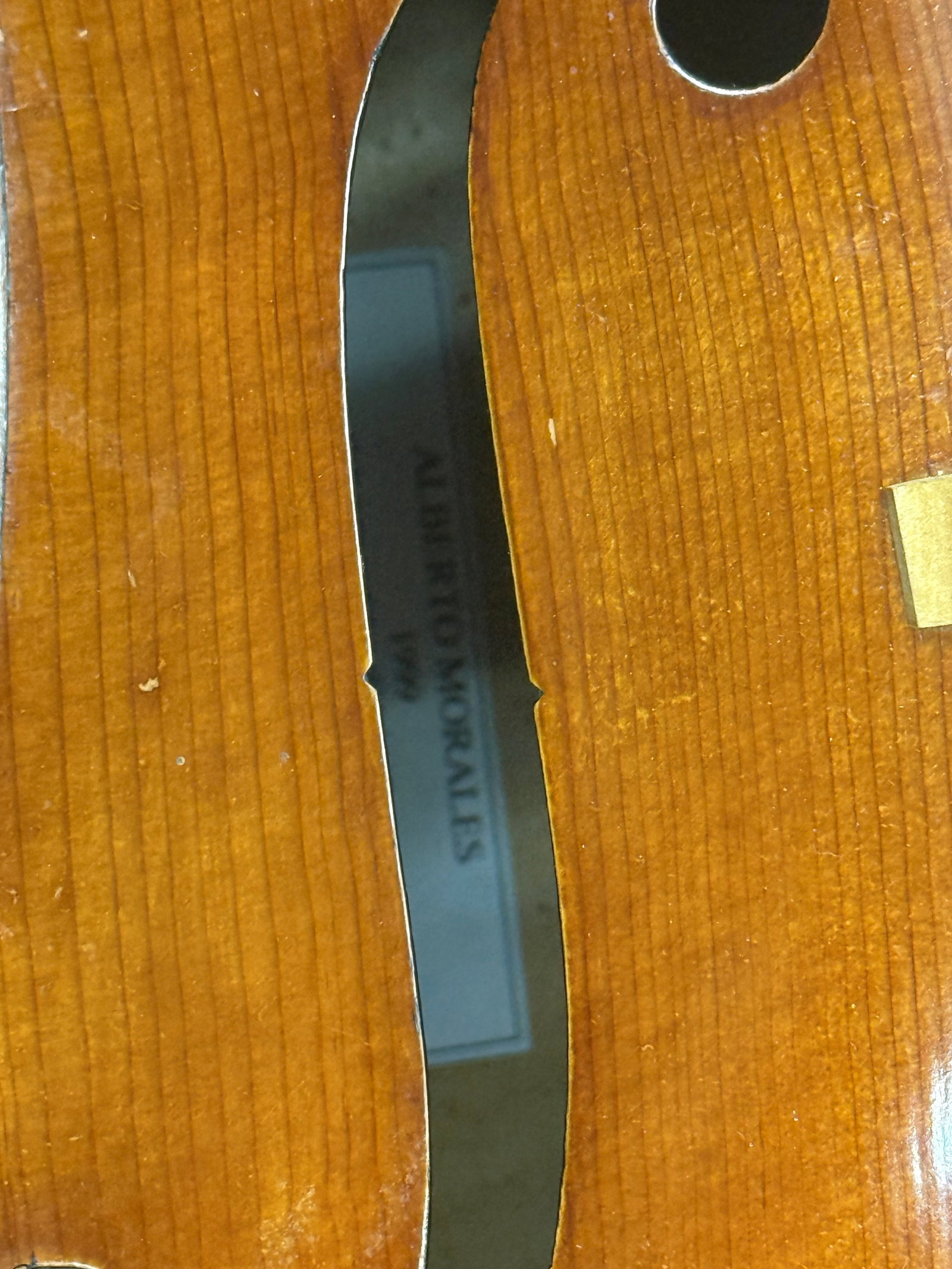 Alberto Morales Cello - 6
