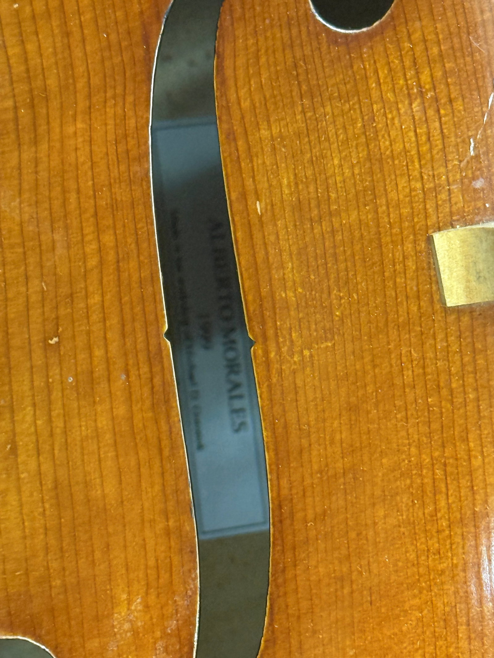 Alberto Morales Cello - 7