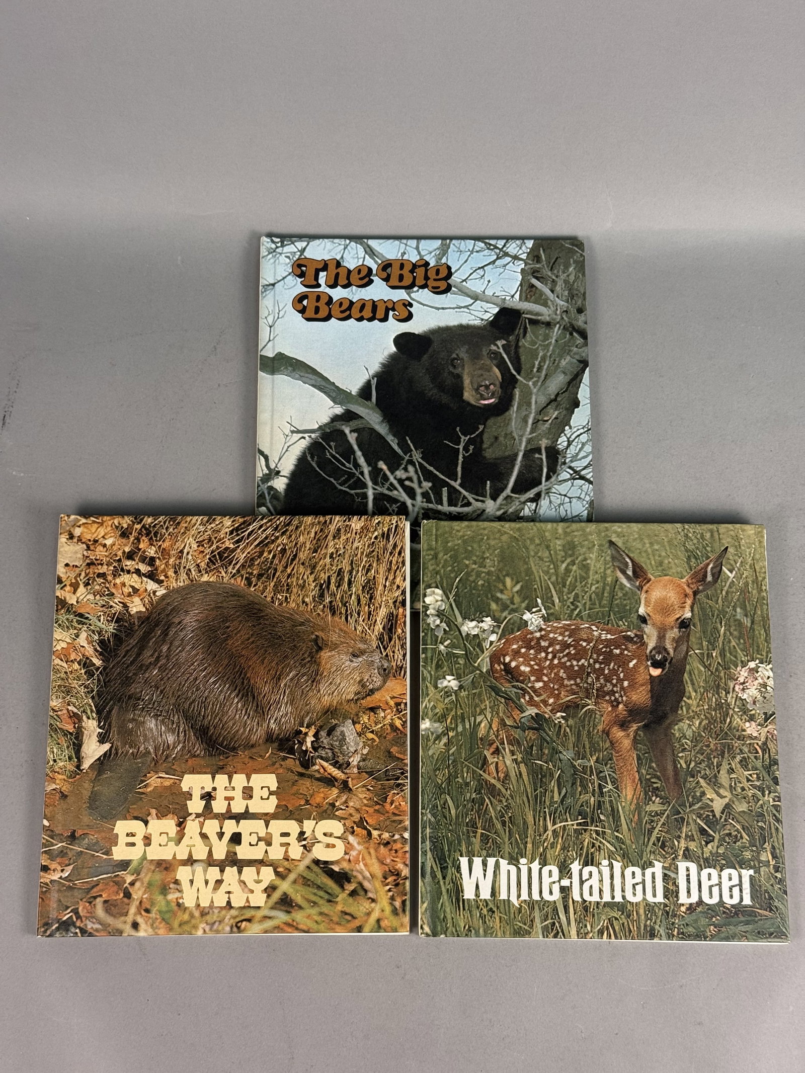 1973 Ranger Rick's Best Friends Books: A collection of three vintage hardcover children's nature books from the Ranger Rick's Best Friends series, created and produced by the National Wildlife Federation in Washington, D. C. The set