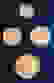 item-13564206=6