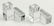 5 Piece Collection of Baccarat Crystal - 5