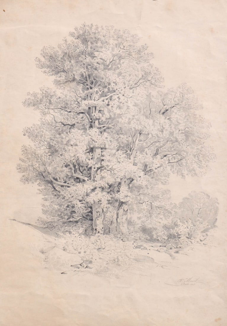 R. Musil: Laubbäume, 1865;Bleistift, 46 x 34 cm (Passepartoutausschnitt),seitliche Einrisse auáerhalb des PassepartoutsSigniert u. datiert