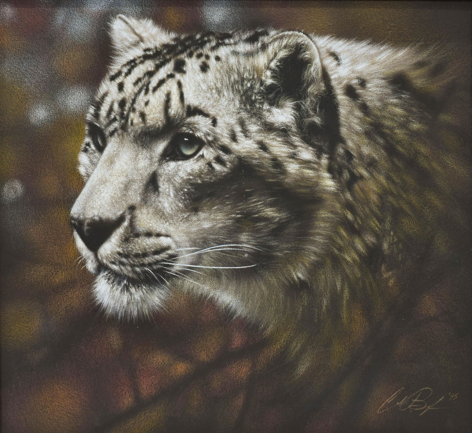 Framed Original Collin Bogle Snow Leopard (1 of 4)