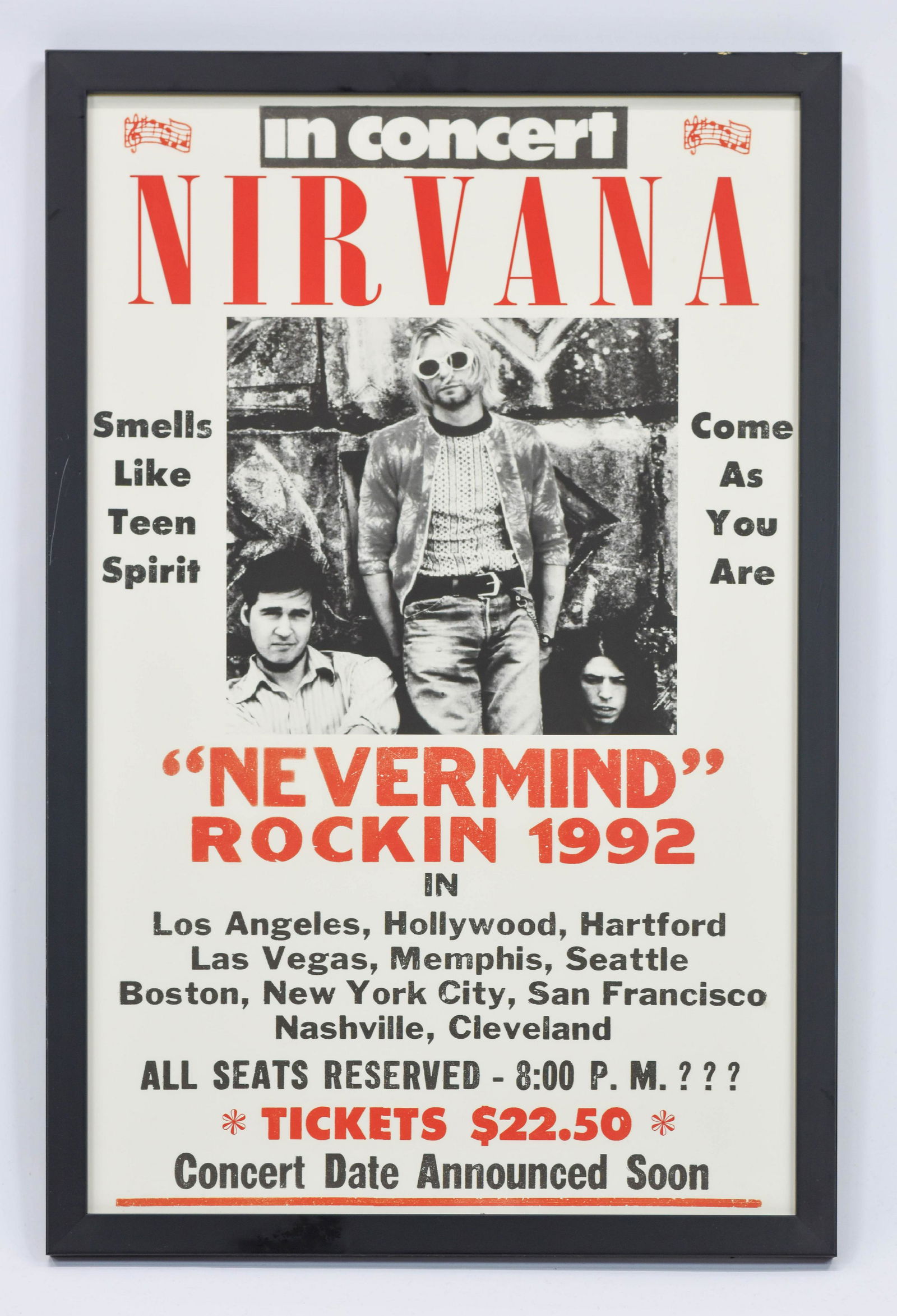 Nirvana in Concert Poster Framed (1 of 6)