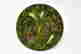 item-131415877=2