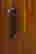 item-131415910=4