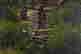 item-133354186=3