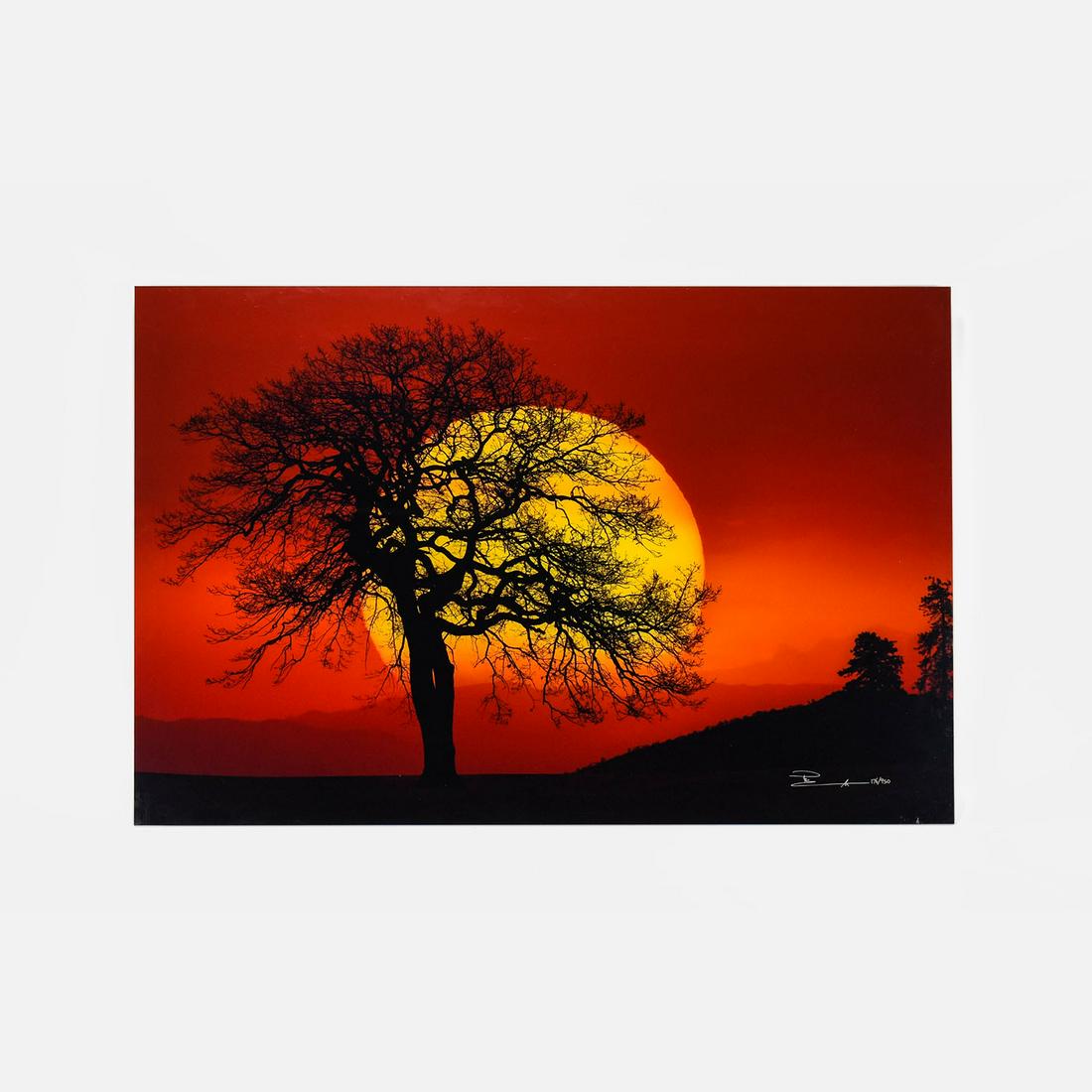 Lik, Peter Landscape Photograph on Acrylic "IN SEARCH OF THE SUN" 176/950: This very large original limited edition photograph on paper was mounted using highly refined acrylic, a process developed by Lik Galleries, and is one of about a dozen Peter Lik landscape photographs