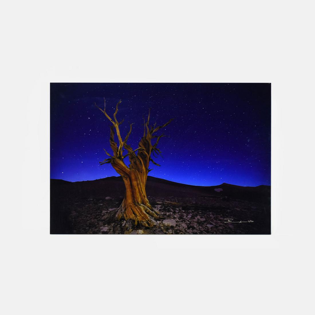 Lik, Peter Landscape Photograph on Acrylic "STARRY NIGHT" 72/950: This very large original limited edition photograph on paper was mounted using highly refined acrylic, a process developed by Lik Galleries, and is one of about a dozen Peter Lik landscape photographs