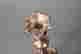 item-134647911=4
