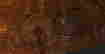 item-134674151=9
